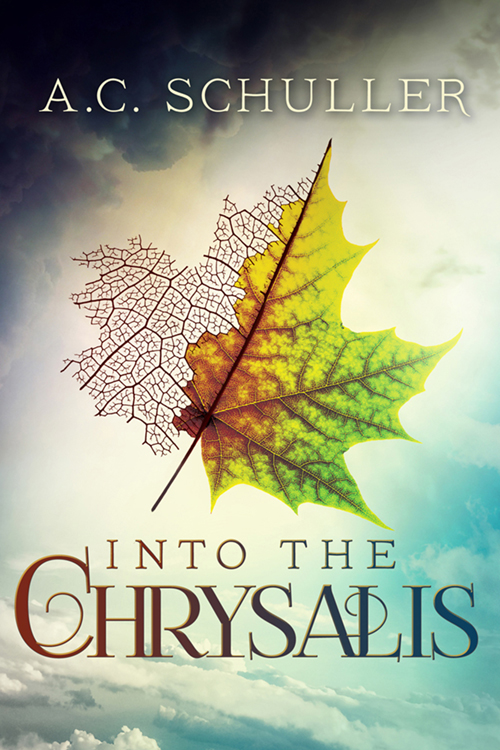 Romantic Fantasy Book Cover Design: Into the Chrysalis
